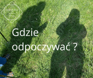 Zdjęcie cieni na trawie
