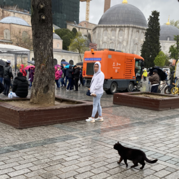 Stambuł – reportaż z miasta między Europą i Azją